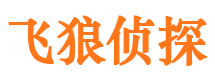 仁布市私家侦探